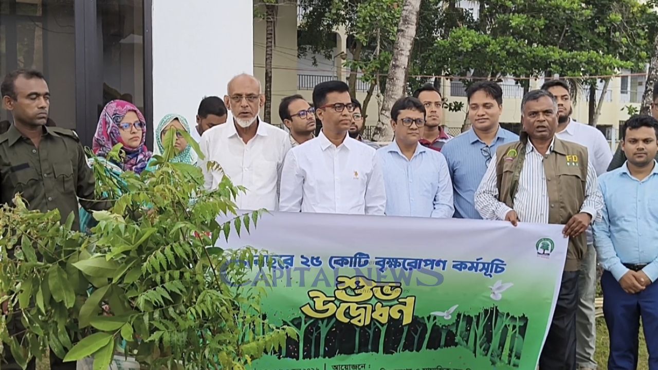 Tree plantation drive launched in Pirojpur