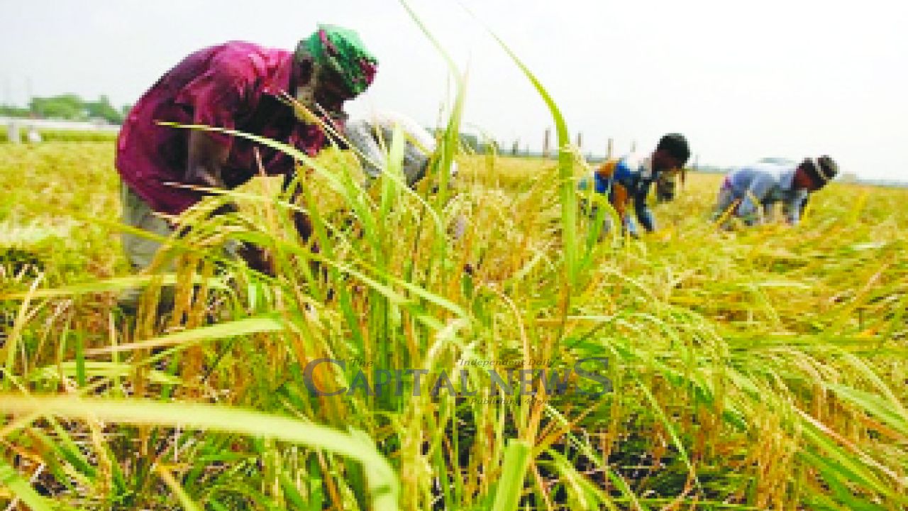 Agri loan success: 110  percent of target achieved