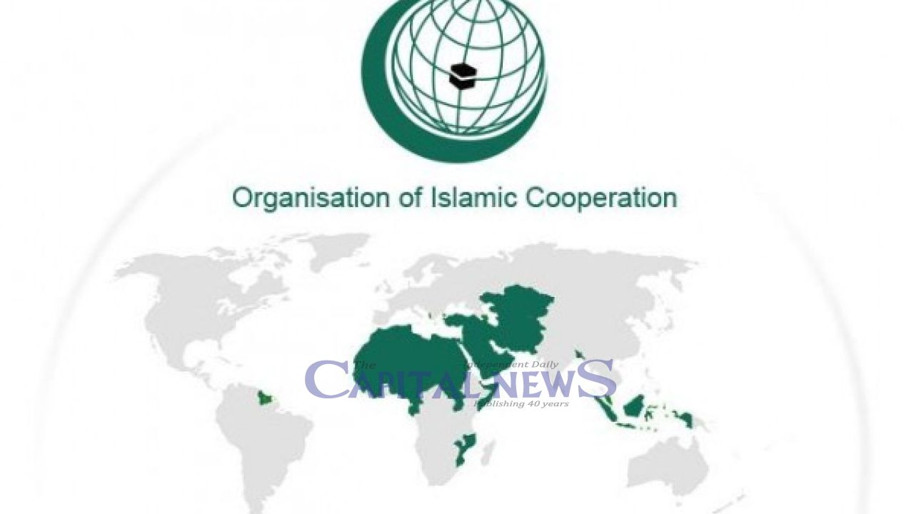 Pakistan hands over letter on IIOJK to OIC chief