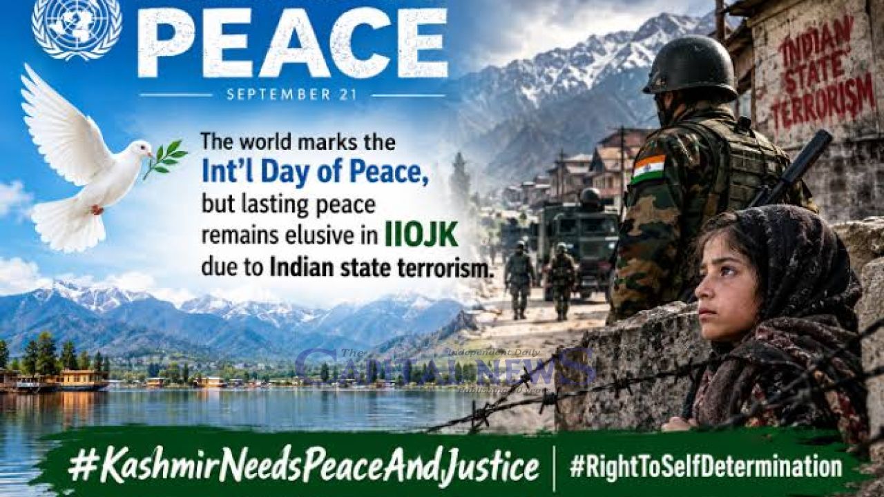 IIOJK’s Peace Paradox: 4,700 Jailed in One Year